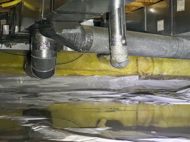 Best Water damage restoration insurance claims  in East Rockingham, NC